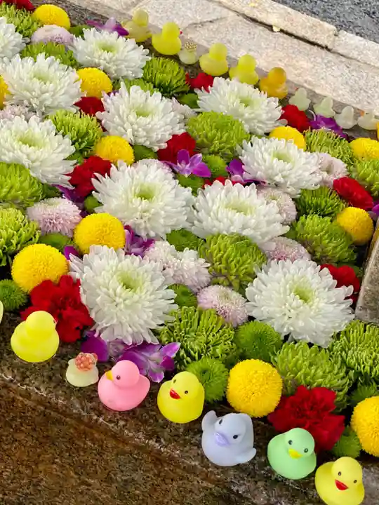 くろ谷 金戒光明寺の手水舎