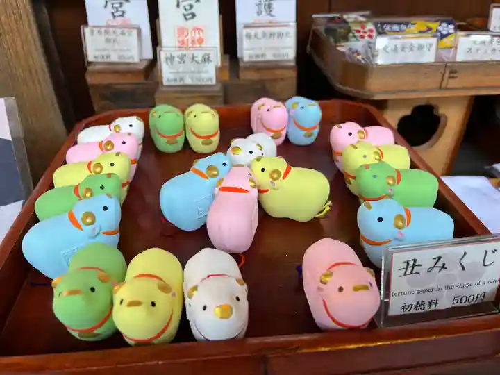 菅原院天満宮神社のおみくじ