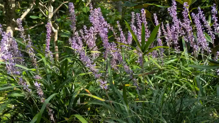 三千院門跡(京都府)