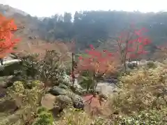 三室戸寺(京都府)