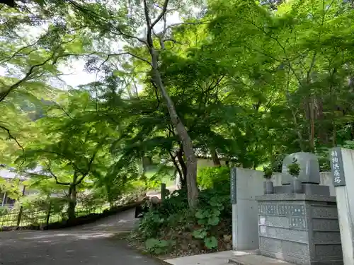 普門寺(切り絵御朱印発祥の寺)のその他建物