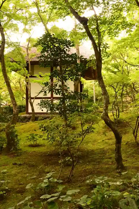 常寂光寺(京都府)