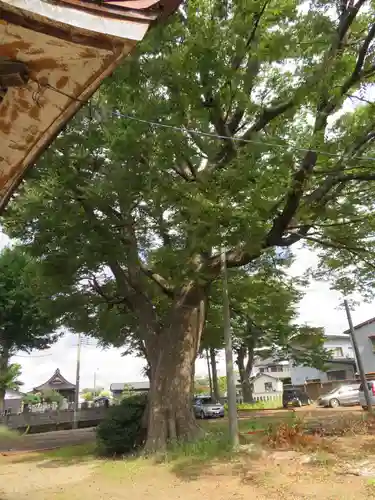 春日神社(山形県)