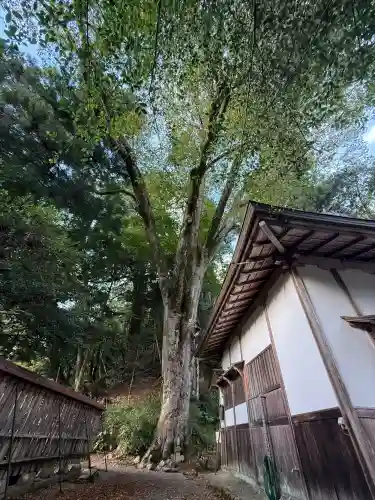 丹生川上神社（下社）(奈良県)
