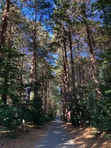 八幡神社(茨城県)