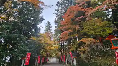 法輪寺(京都府)