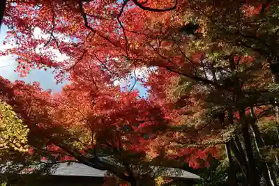 比叡山延暦寺(滋賀県)