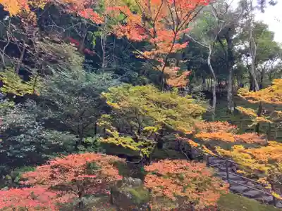 慈照寺（慈照禅寺・銀閣寺）(京都府)