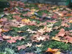 木舟山　順教寺の自然