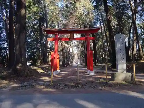 中村八幡宮(栃木県)