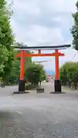 箱崎八幡神社の{uncategorized: "未分類", other: "その他", undefined: "問題あり", building: "その他建物", grave: "お墓", sacred_gate: "鳥居", guardian: "狛犬", statue: "像", buddha: "仏像", history: "歴史", nature: "自然", garden: "庭園", animal: "動物", pagoda: "塔", temizu: "手水舎", mountain_gate: "山門・神門", sanctuary: "本殿・本堂", subordinate: "末社・摂社", art: "芸術", scenery: "景色", jizo: "地蔵", ema: "絵馬", goshuin: "御朱印", omikuji: "おみくじ", items: "授与品その他", amulet: "お守り", goshuincho: "御朱印帳", eats: "食事", festival: "お祭り", votive_dance: "神楽", shichigosan: "七五三参", wedding: "結婚式", experience: "体験その他", initially: "初詣", around: "周辺", anti_infection: "感染症対策"}