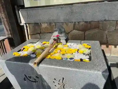 亀山八幡宮(山口県)