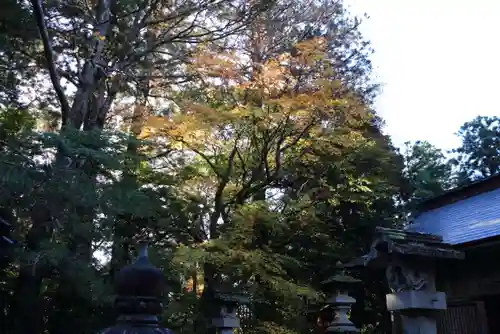 菅船神社のその他建物