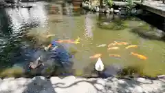 平塚八幡宮(神奈川県)