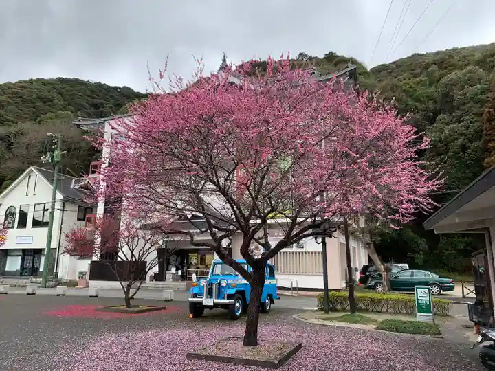吉香神社の自然