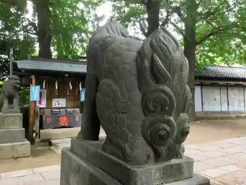 駒込天祖神社の狛犬