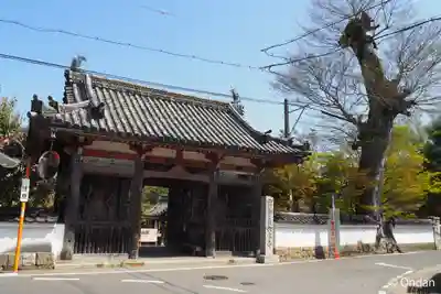 穴太寺の御朱印