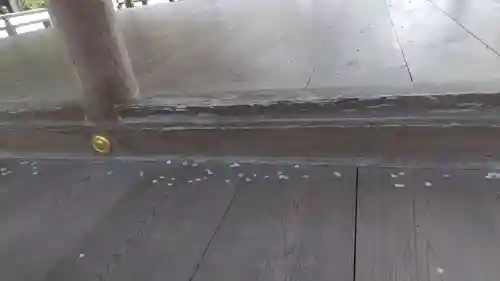 出雲大神宮(京都府)