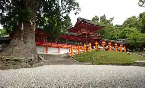 春日大社の庭園