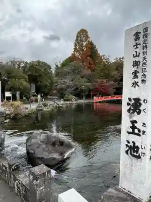 富士山本宮浅間大社(静岡県)