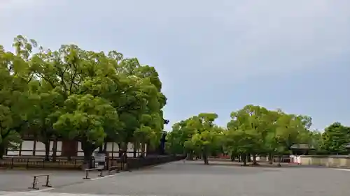 東寺（教王護国寺）のその他建物