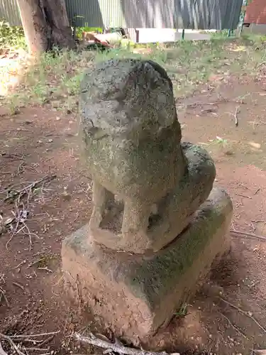 権現神社の狛犬