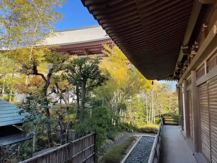 増上寺圓光大師堂の建物その他