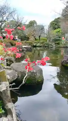 長谷寺の{uncategorized: "未分類", other: "その他", undefined: "問題あり", building: "その他建物", grave: "お墓", sacred_gate: "鳥居", guardian: "狛犬", statue: "像", buddha: "仏像", history: "歴史", nature: "自然", garden: "庭園", animal: "動物", pagoda: "塔", temizu: "手水舎", mountain_gate: "山門・神門", sanctuary: "本殿・本堂", subordinate: "末社・摂社", art: "芸術", scenery: "景色", jizo: "地蔵", ema: "絵馬", goshuin: "御朱印", omikuji: "おみくじ", items: "授与品その他", amulet: "お守り", goshuincho: "御朱印帳", eats: "食事", festival: "お祭り", votive_dance: "神楽", shichigosan: "七五三参", wedding: "結婚式", experience: "体験その他", initially: "初詣", around: "周辺", anti_infection: "感染症対策"}