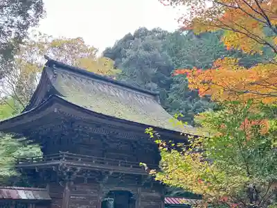 大矢田神社(岐阜県)