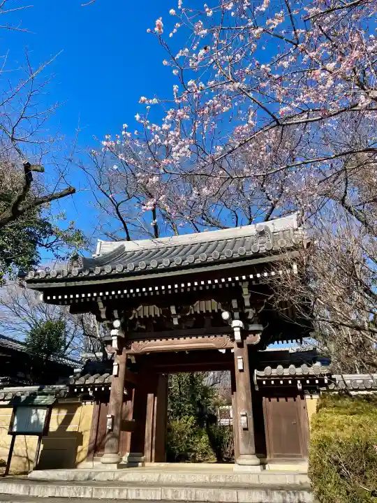 法明寺の{uncategorized: "未分類", other: "その他", undefined: "問題あり", building: "その他建物", grave: "お墓", sacred_gate: "鳥居", guardian: "狛犬", statue: "像", buddha: "仏像", history: "歴史", nature: "自然", garden: "庭園", animal: "動物", pagoda: "塔", temizu: "手水舎", mountain_gate: "山門・神門", sanctuary: "本殿・本堂", subordinate: "末社・摂社", art: "芸術", scenery: "景色", jizo: "地蔵", ema: "絵馬", goshuin: "御朱印", omikuji: "おみくじ", items: "授与品その他", amulet: "お守り", goshuincho: "御朱印帳", eats: "食事", festival: "お祭り", votive_dance: "神楽", shichigosan: "七五三参", wedding: "結婚式", experience: "体験その他", initially: "初詣", around: "周辺", anti_infection: "感染症対策"}