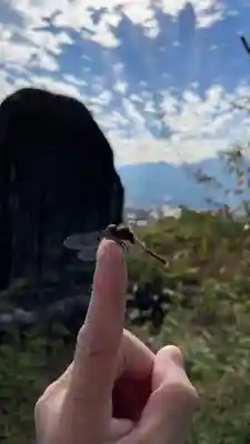 上伊那招魂社(長野県)