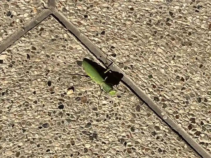 日長神社(愛知県)