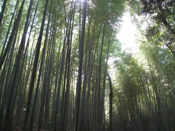 天龍寺(京都府)