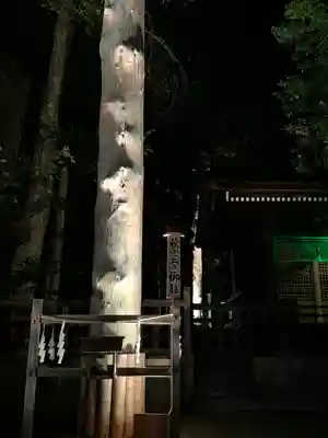 諏訪大社下社秋宮(長野県)