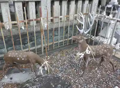 四所神社の狛犬