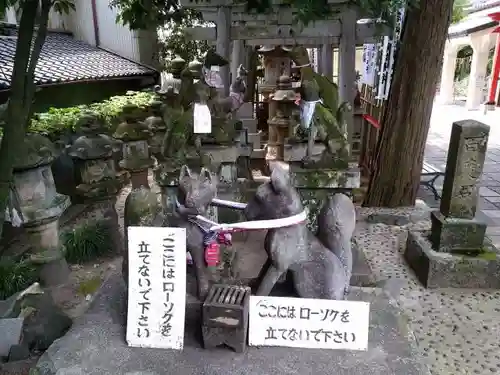 千代保稲荷神社の狛犬