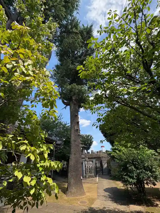 円勝寺(東京都)