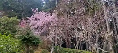 石山寺(滋賀県)