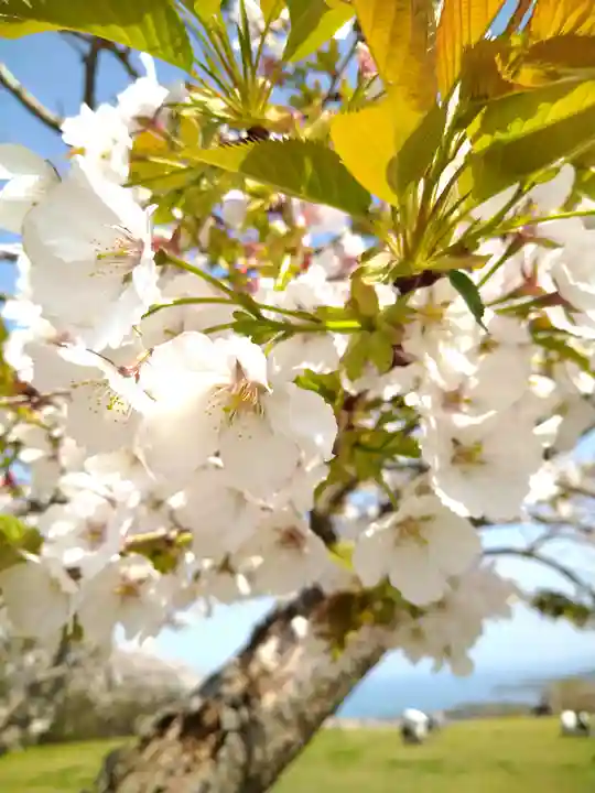 牛窓神社(岡山県)