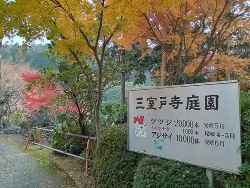 三室戸寺(京都府)
