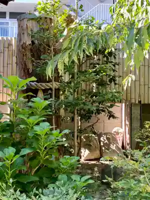 平等寺（因幡堂）の自然