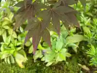 西方山極楽寺(岐阜県)