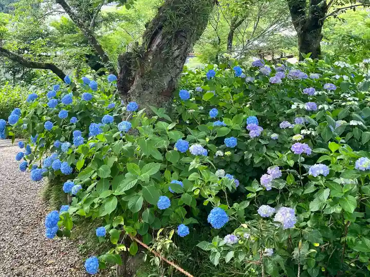 念佛院(奈良県)