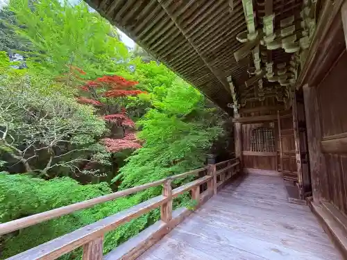 圓教寺の{uncategorized: "未分類", other: "その他", undefined: "問題あり", building: "その他建物", grave: "お墓", sacred_gate: "鳥居", guardian: "狛犬", statue: "像", buddha: "仏像", history: "歴史", nature: "自然", garden: "庭園", animal: "動物", pagoda: "塔", temizu: "手水舎", mountain_gate: "山門・神門", sanctuary: "本殿・本堂", subordinate: "末社・摂社", art: "芸術", scenery: "景色", jizo: "地蔵", ema: "絵馬", goshuin: "御朱印", omikuji: "おみくじ", items: "授与品その他", amulet: "お守り", goshuincho: "御朱印帳", eats: "食事", festival: "お祭り", votive_dance: "神楽", shichigosan: "七五三参", wedding: "結婚式", experience: "体験その他", initially: "初詣", around: "周辺", anti_infection: "感染症対策"}