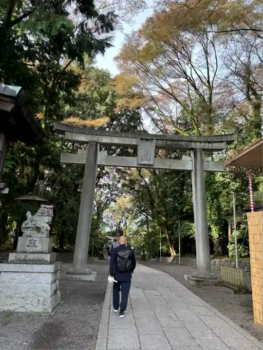 谷保天満宮(東京都)