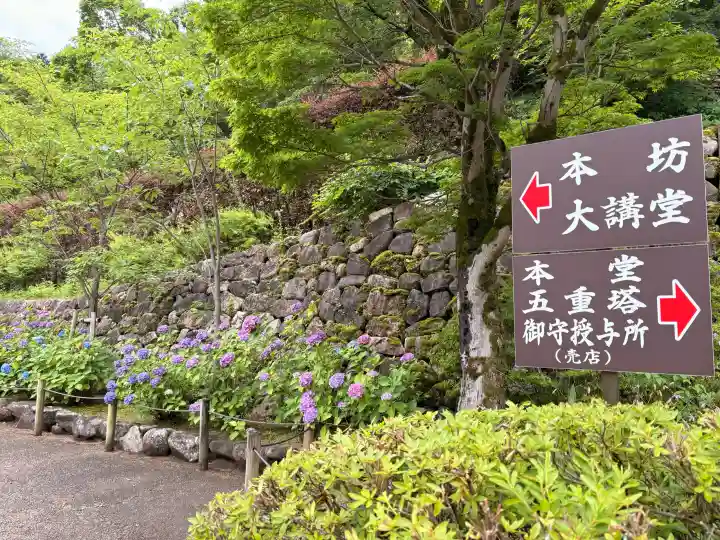 長谷寺(奈良県)