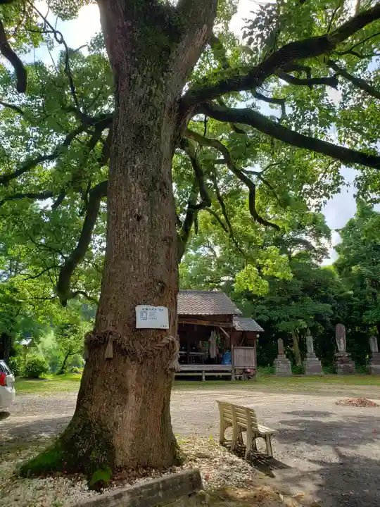 福母八幡宮(佐賀県)