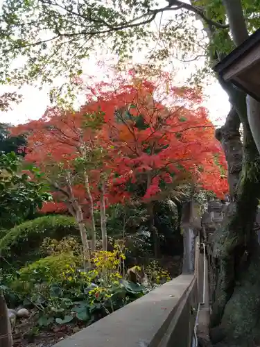 紅葉八幡宮の自然