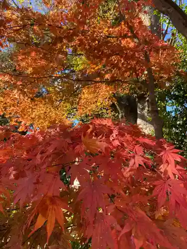 比々多神社の自然