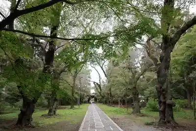 東漸寺(千葉県)